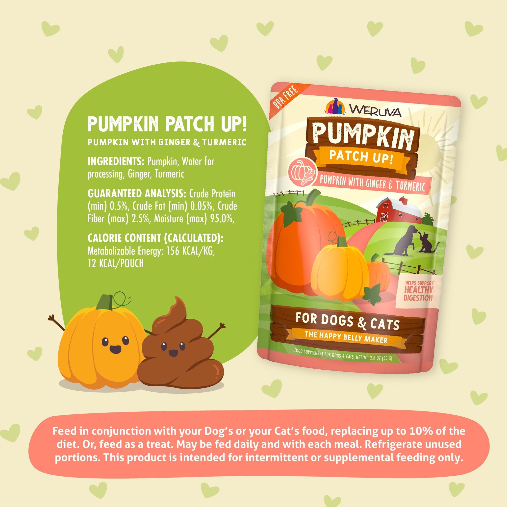 WERUVA DOG CAT PUMPKIN GINGER 2.8OZ POUCH