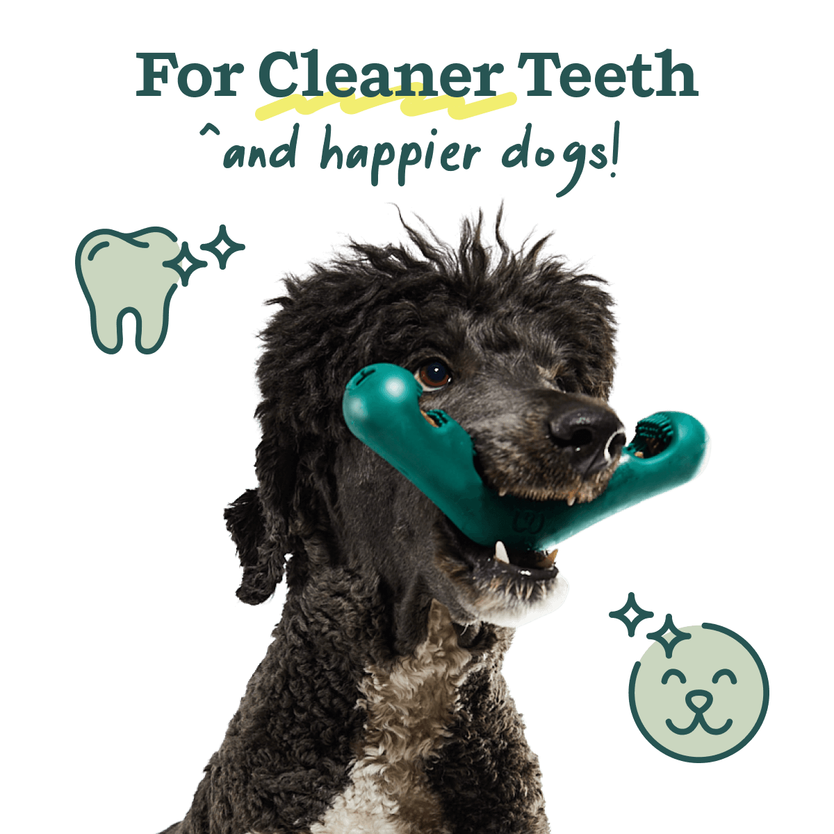 WOOF Dog - Bite N' Brush Small Dental Treats