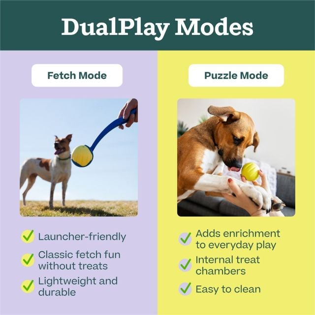WOOF Dog - Flyball Fetch Ball & Fits Standard Launchers Interactive Toy Yellow