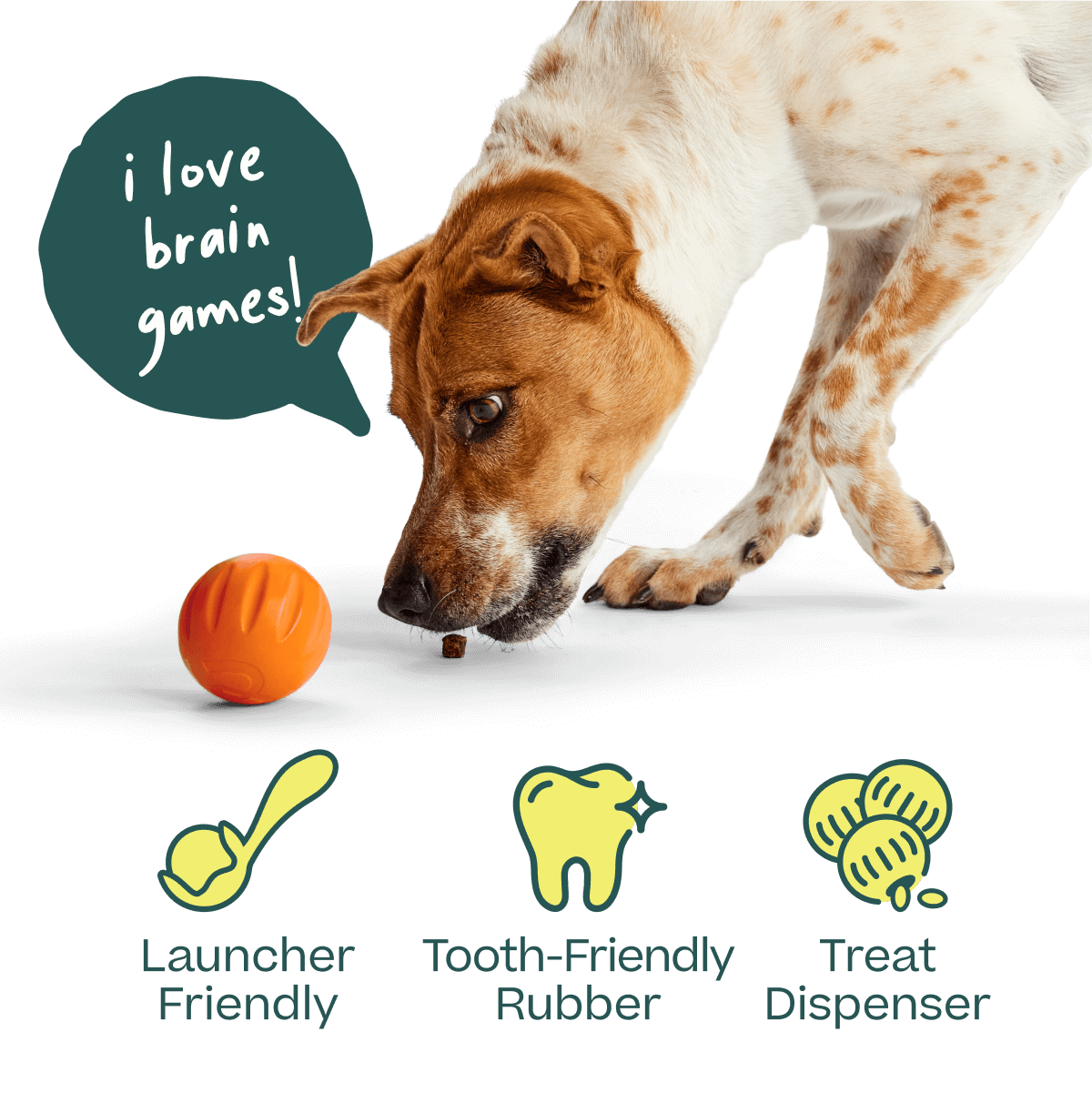 WOOF Dog - Flyball Fetch Ball & Fits Standard Launchers Interactive Toy Yellow