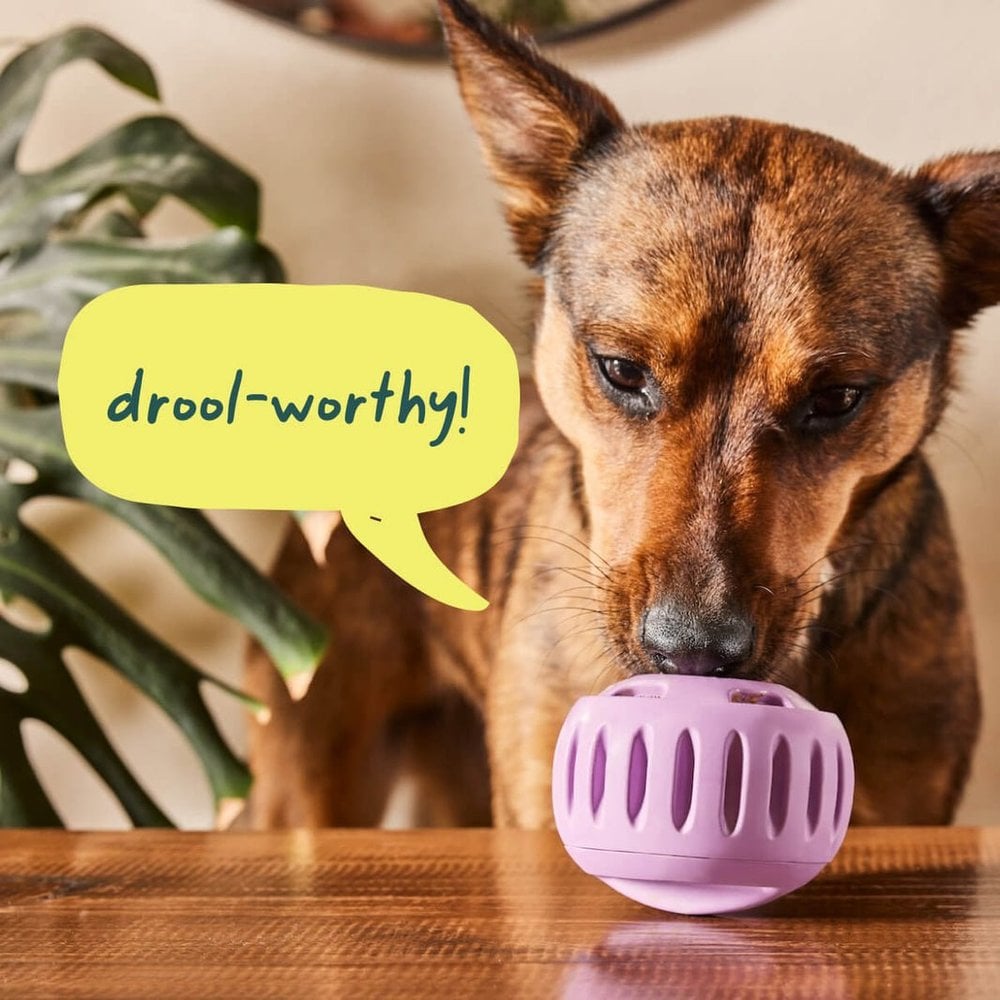 WOOF Dog - Pupsicle Buddy Blue Small