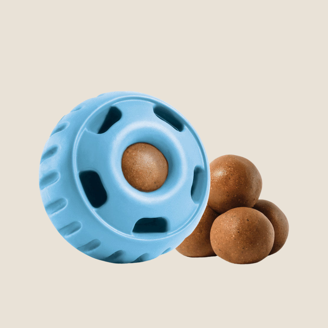 WOOF Dog - Pupsicle Buddy Blue Small