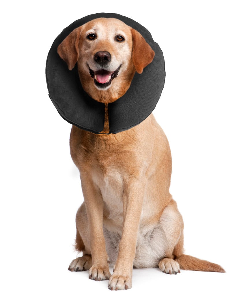 ZEN COLLAR L