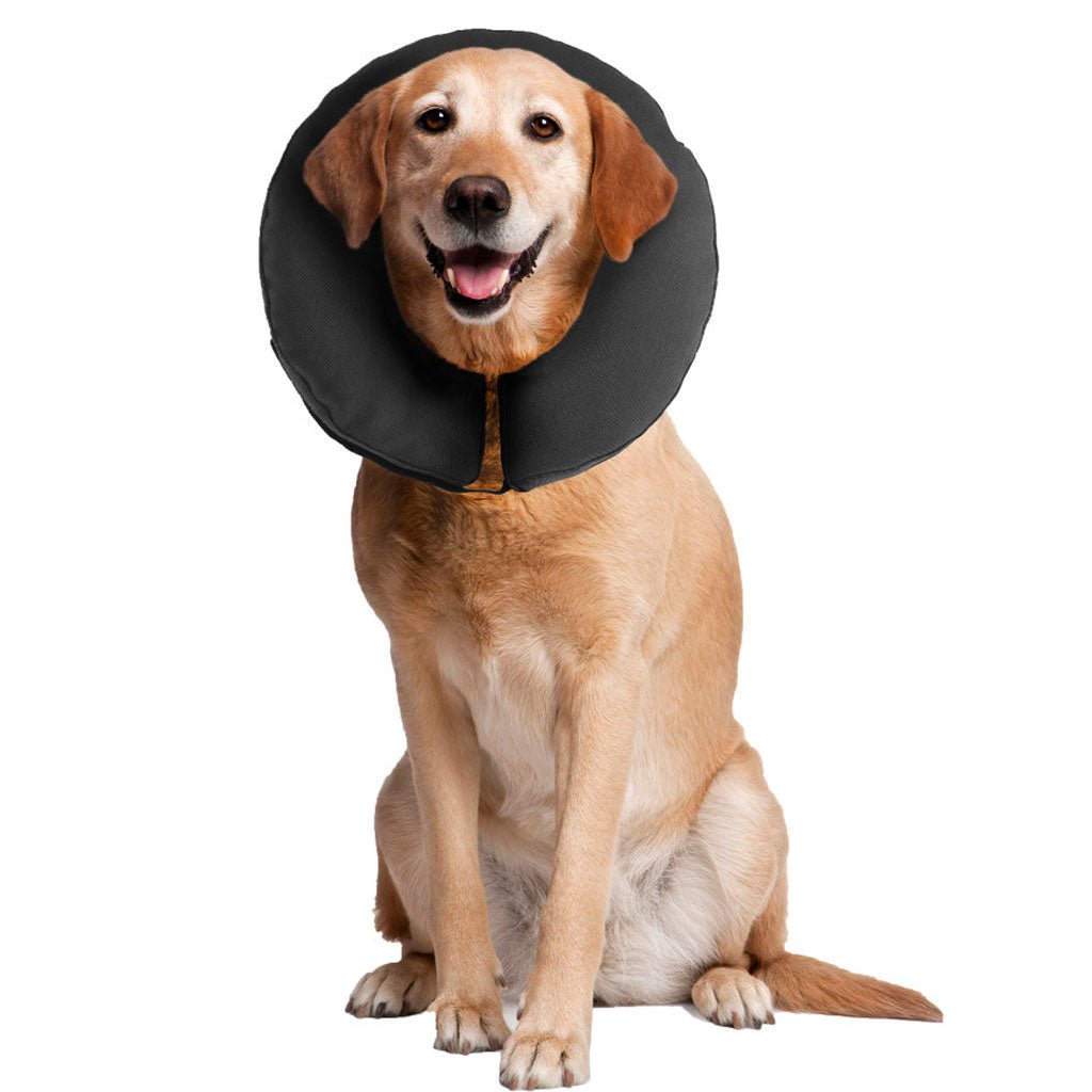 ZEN COLLAR XL