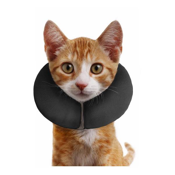 ZEN COLLAR XS