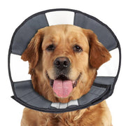 ZENCONE M