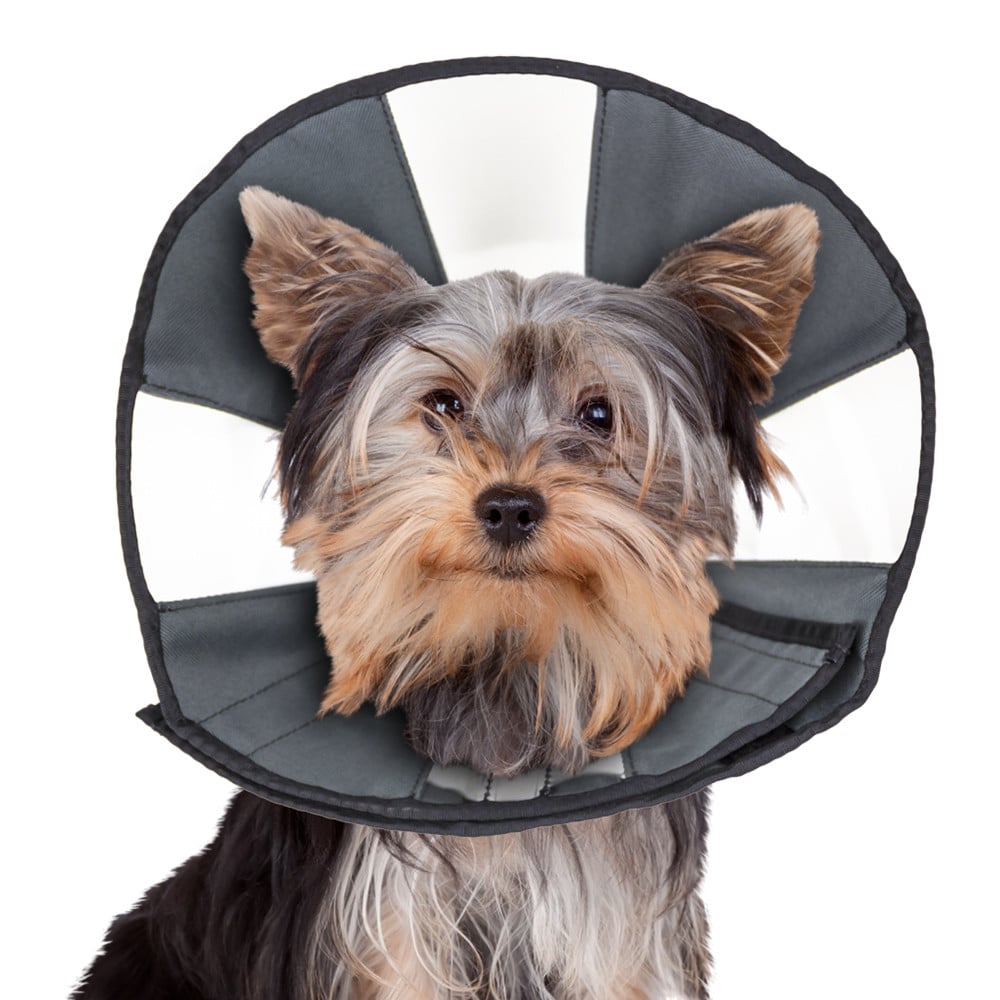 ZENCONE S