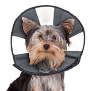 ZENCONE S
