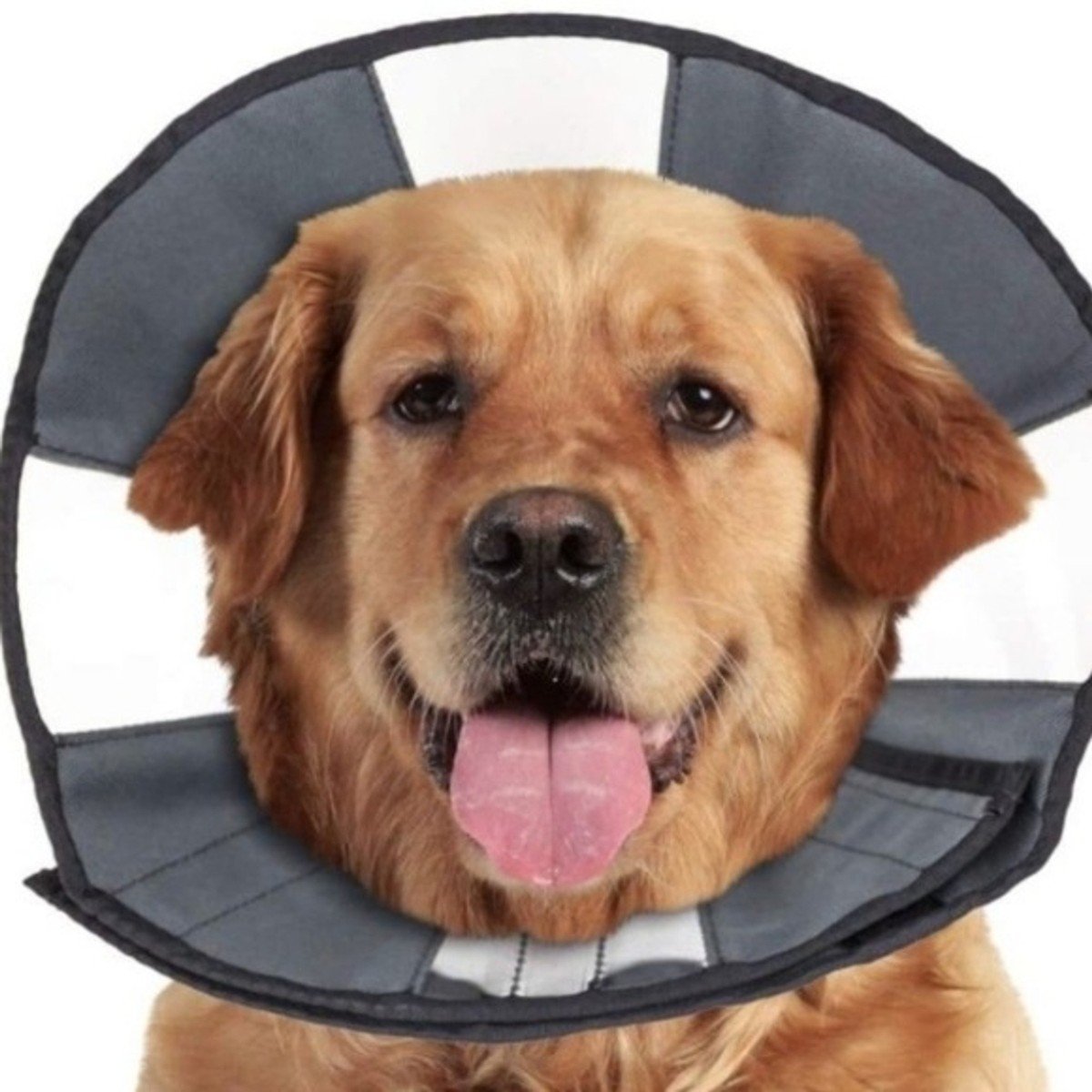 ZENCONE XL